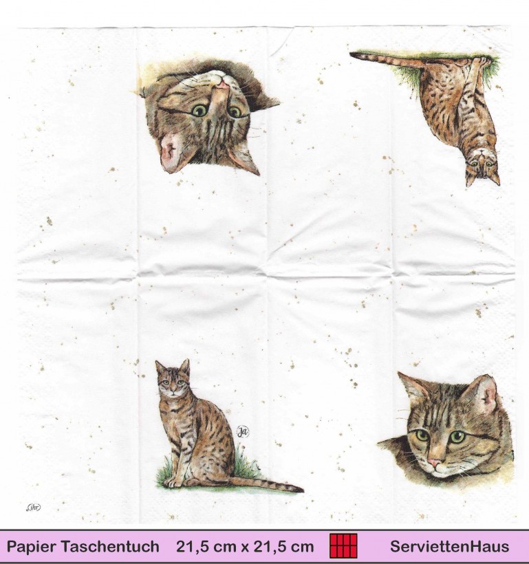 Farmfreunde Braune Katze - 1 Papier Taschentuch - Zwei verschiedene Motive
